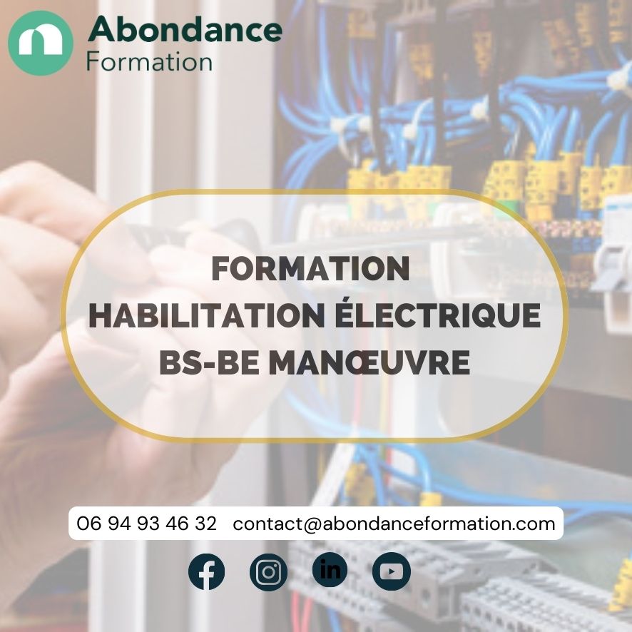 https://www.abondanceformation.com/wp-content/uploads/2023/07/Habilitation-electricite-BS-BE-manoeuvre.jpg