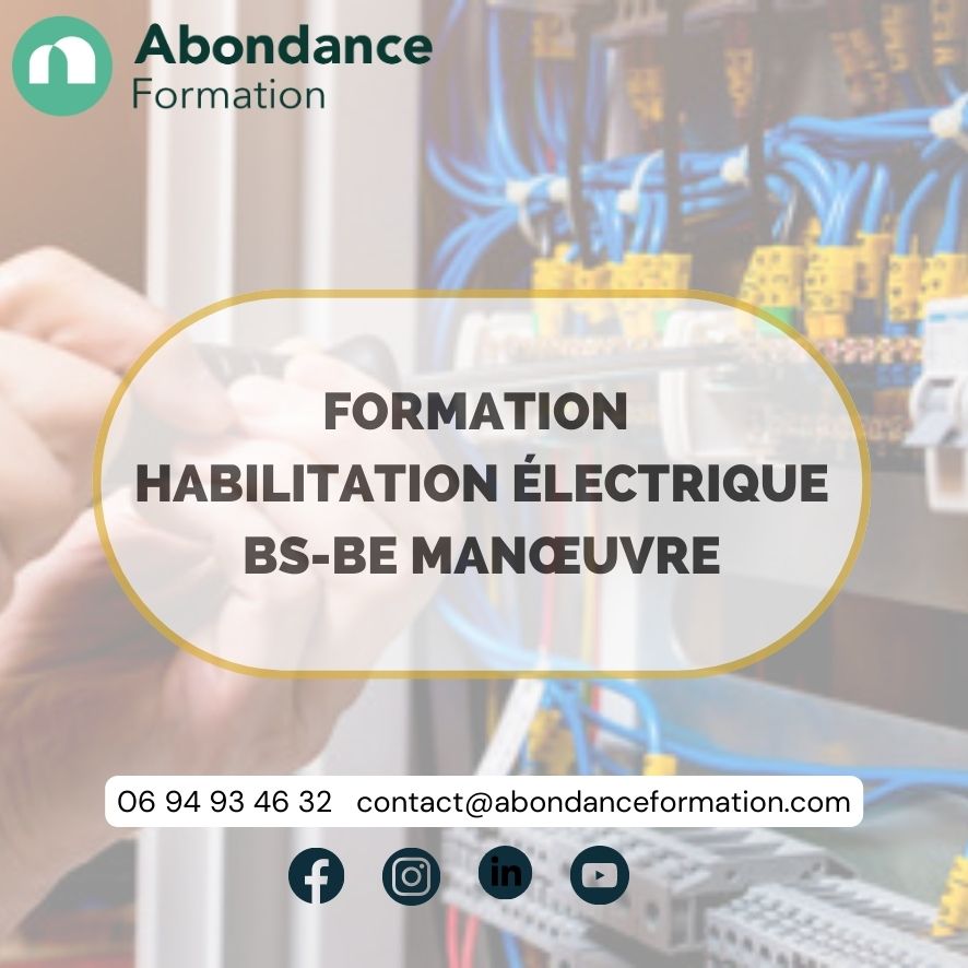 https://www.abondanceformation.com/wp-content/uploads/2023/07/Habilitation-electricite-BS-BE-manoeuvre.jpg